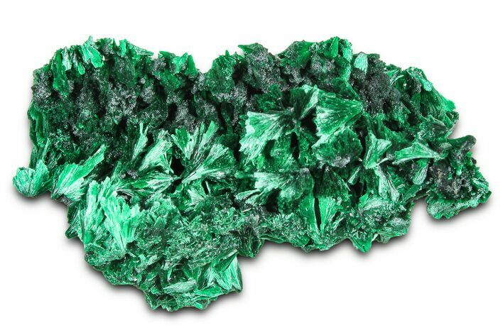 Silky Fibrous Malachite Cluster - DR Congo #379668